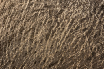 old Wool texture ugly