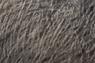 old Wool texture ugly