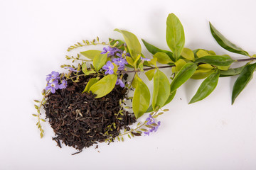 Tea leaves on a white background