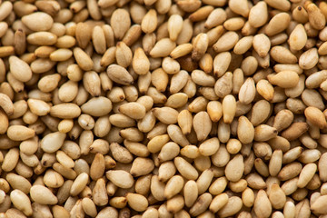 胡麻 クローズアップ