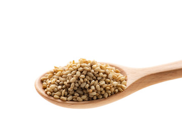 胡麻をスプーンですくう