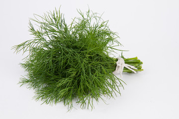 green fresh dill on a white background
