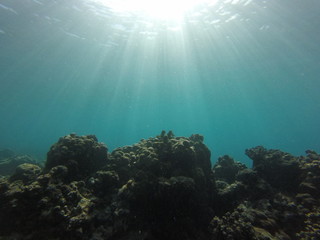 seychelles snorkeling