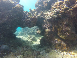 Plakat seychelles snorkeling