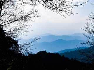 View of landscape hill with branch, blue sky and cloud in the evening.