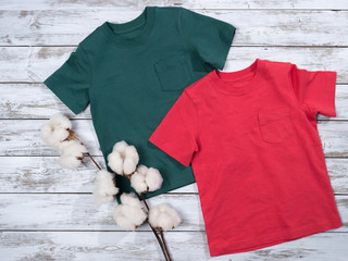 Clothes for men, kids, boys (cotton tees). Spring summer collection, classic look, fashion concept. Flat lay, view from above