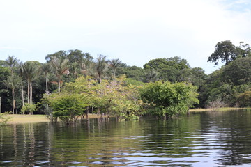 lake in the park