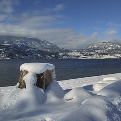 Snow on a tree stump by the lake in winter