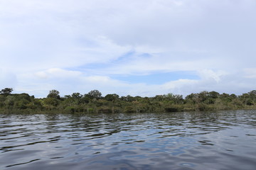 landscape with river and clouds