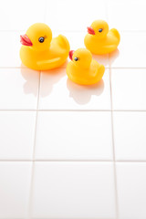 お風呂イメージ