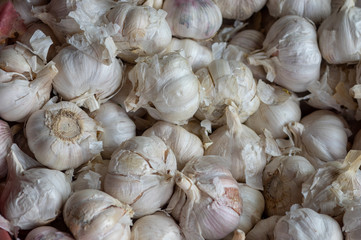 Garlic at Spice Market