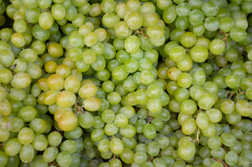 Grapes at Fruit Market