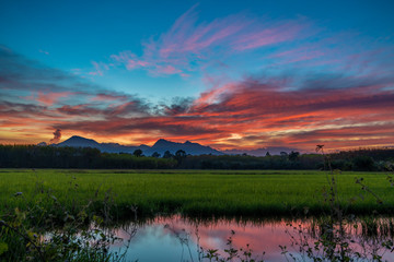 Red colorful sunset over green field with reflection in lake