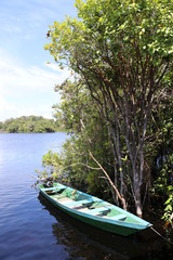 Plakat boat on the lake