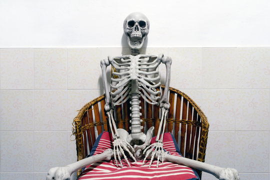 Skeleton Chair