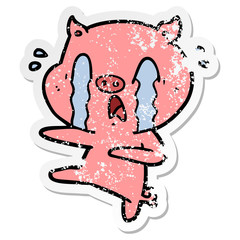 distressed sticker of a crying pig cartoon