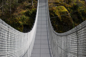 suspension bridge in the forest