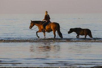 horse riding on the beach