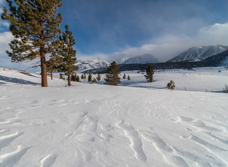 Winter Sierra Nevada Mountains