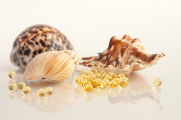 fish oil with shells