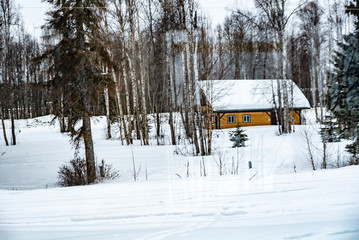 Cabin in Alaska