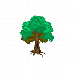 tree isolated illustration