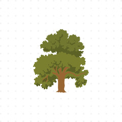tree isolated illustration