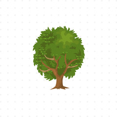tree isolated illustration