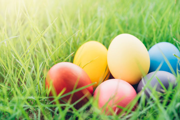 Fototapeta na wymiar Easter egg on garden grass background,