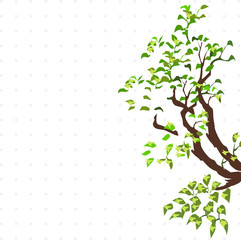 tree branch isolated illustration