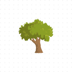 tree isolated illustration