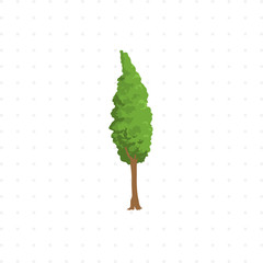 tree isolated illustration