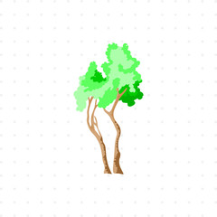 tree isolated illustration