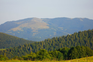 les montagnes dans les vosges depuis la route des cretes