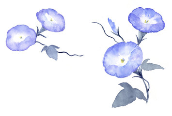 年賀状テンプレート 水彩で描くしめ縄 Wall Mural Wallpaper Murals Miko