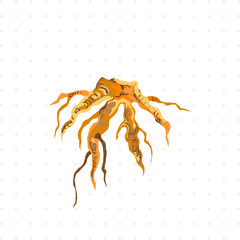 tree root isolated illustration