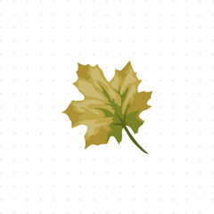 tree leaf isolated illustration