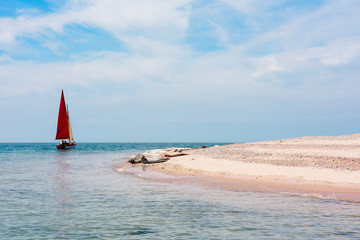 sailboat and seals
