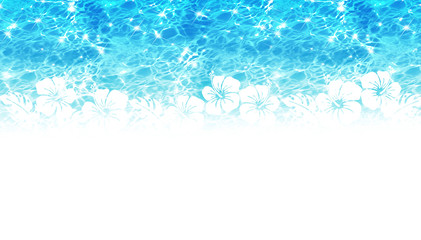 ハイビスカスと水面 © imagefuji