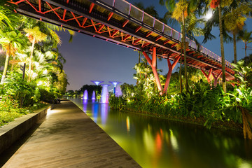 Fototapeta premium Supertree grove forest illuminated at night. Gardens by the bay, Singapore city.
