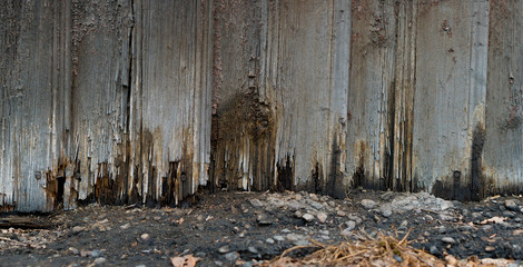 rotten board texture
