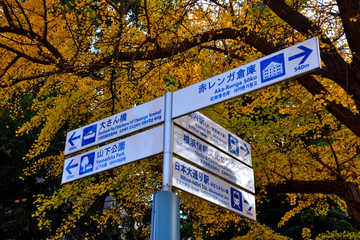 横浜日本大通りに建つ施設方向案内板