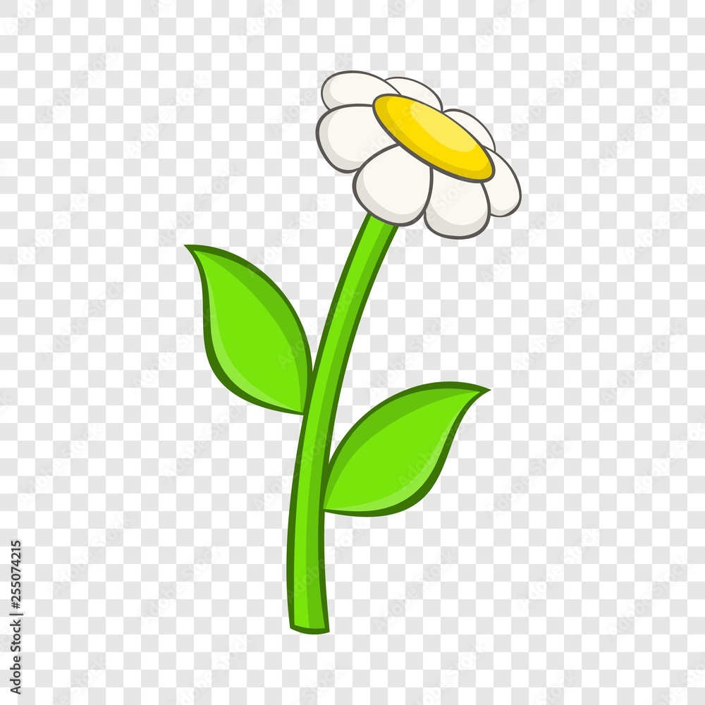 Poster chamomile icon in cartoon style on a background for any web design