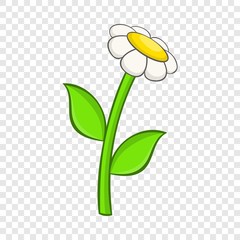 Chamomile icon in cartoon style on a background for any web design 
