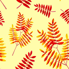 Fototapeta premium Set from leaves of the Rowan branch . Watercolor illustration isolated on yellow background.Seamless pattern