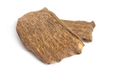 Agarwood, also called aloeswood oudh, isolated on white background