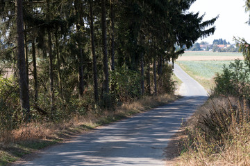 Country road crosses forest and field with village on horizont