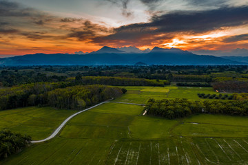 Fototapeta premium Rural road through the rice fields to the mountains with orange sunset cloudy sky background, drone shot