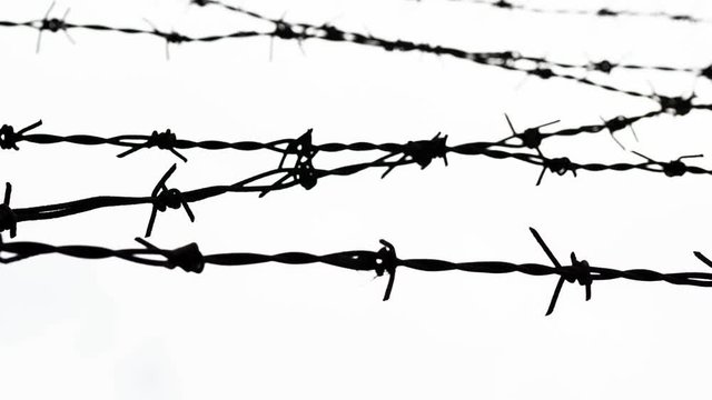barbed wire - freedom