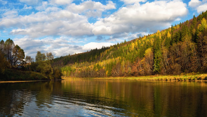 Fototapeta premium river in autumn forest